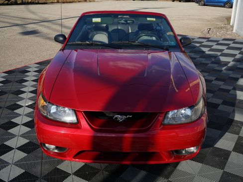 Used 2001 Ford Mustang Cobra image 14