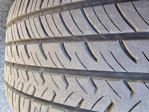 Used 2018 Ford Mustang Premium image 14