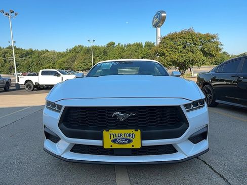 Used 2024 Ford Mustang Premium image 3