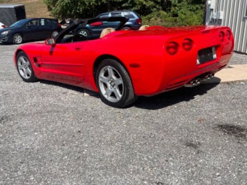 Used 1999 Chevrolet Corvette Convertible image 3