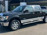 Used 2014 Ford F150 XLT w/ Equipment Group 302A Luxury image 4