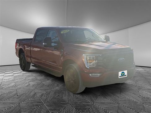 Used 2023 Ford F150 XLT w/ Equipment Group 302A High image 7