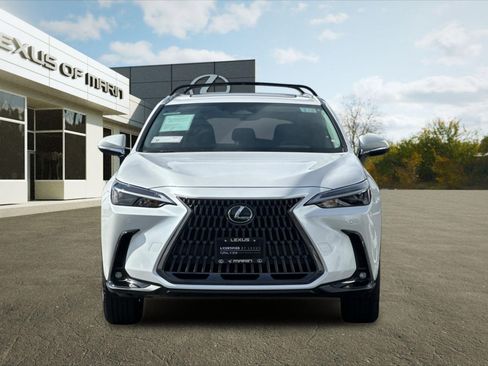 Certified 2025 Lexus NX 350h AWD w/ Cold Area Package image 6