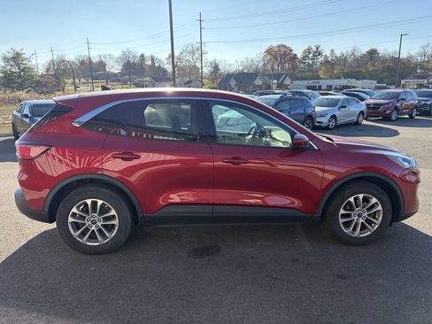 Used 2021 Ford Escape SE w/ Convenience Package image 6