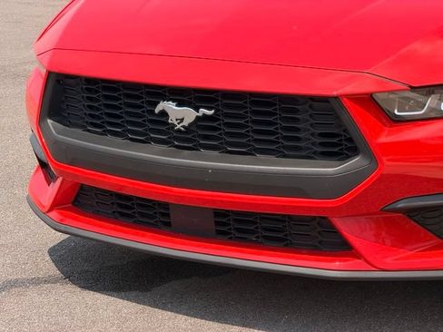 Used 2024 Ford Mustang Premium RWD image 8