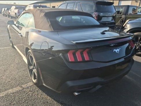 Used 2025 Ford Mustang Premium RWD image 2