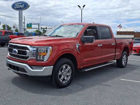 Used 2023 Ford F150 XLT w/ Equipment Group 302A High AWD/4WD image 3