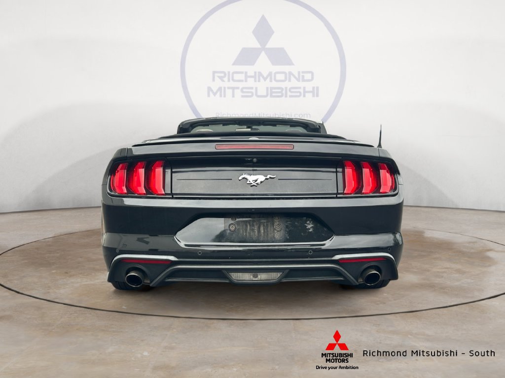 Used 2019 Ford Mustang Premium RWD image 4
