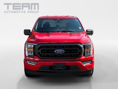 Used 2021 Ford F150 XLT w/ Equipment Group 302A High RWD image 2