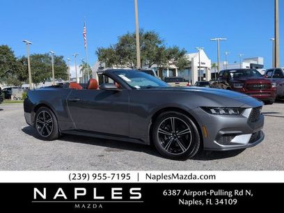 Used 2025 Ford Mustang Premium
