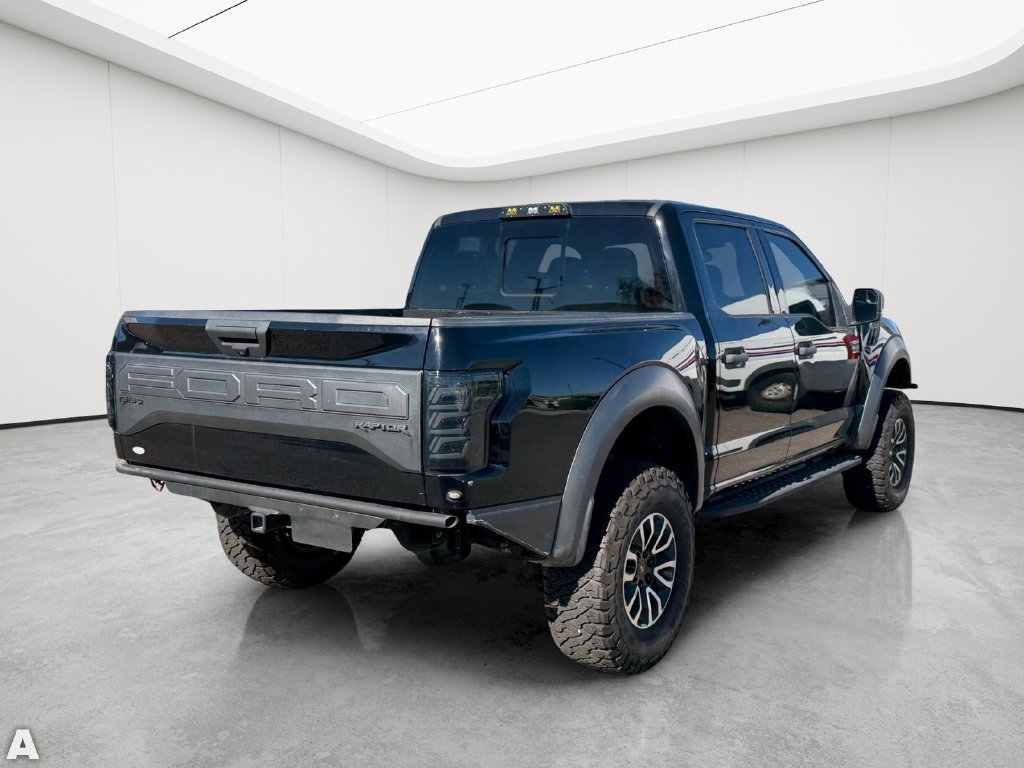 Used 2019 Ford F150 Raptor w/ Equipment Group 801A Mid AWD/4WD image 6