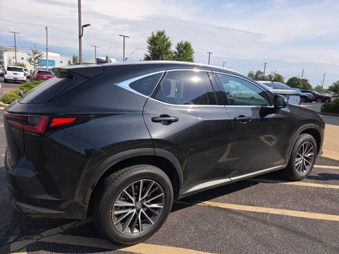 Used 2025 Lexus NX 350h AWD w/ Rear Seat Package image 4