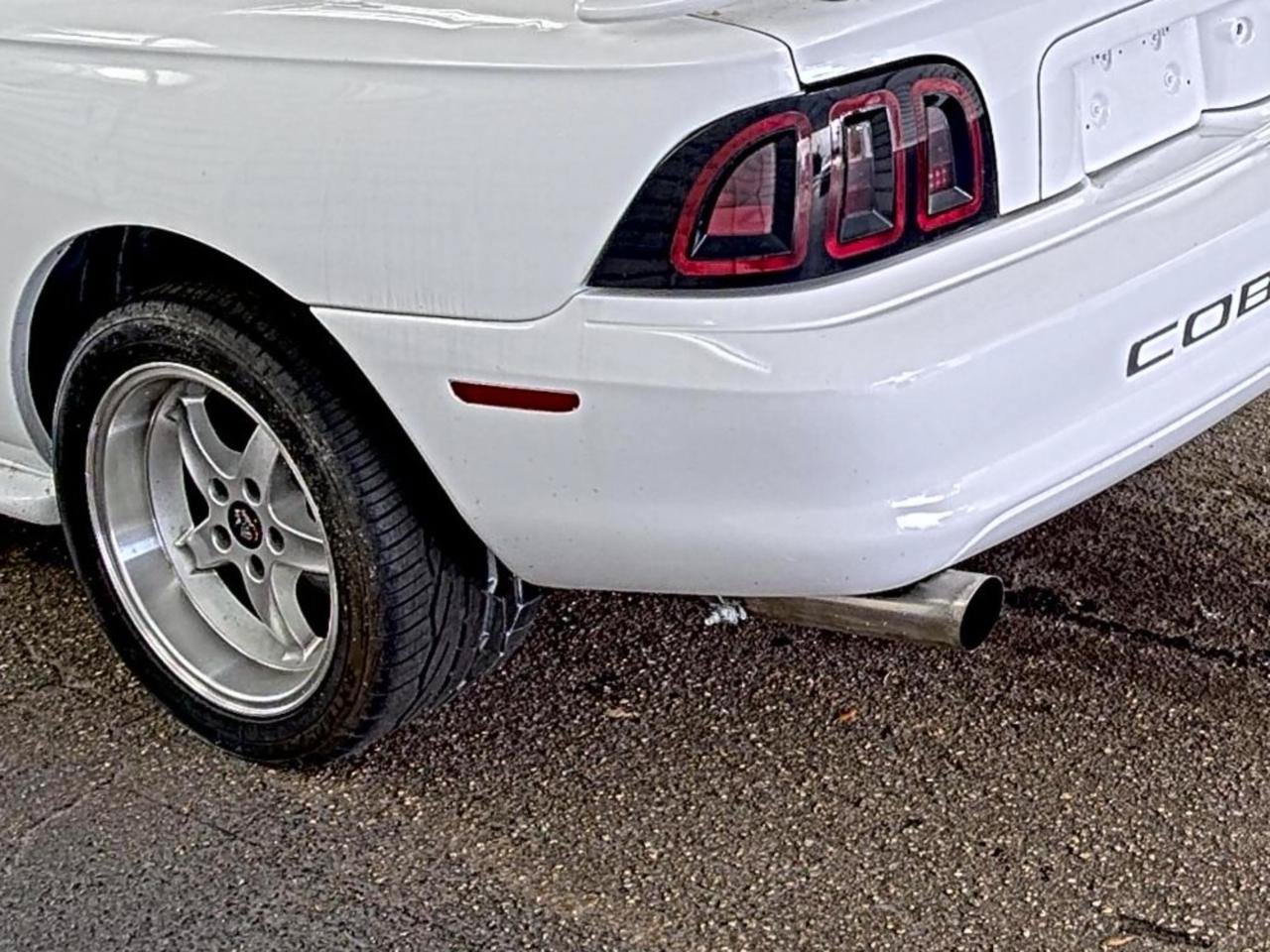 Used 1997 Ford Mustang Cobra RWD image 14
