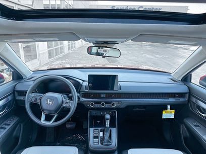 New 2026 Honda CR-V EX