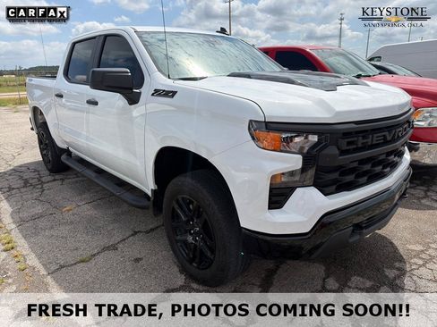 Used 2024 Chevrolet Silverado 1500 Custom Trail Boss w/ Turbomax Blackout Package AWD/4WD image 1