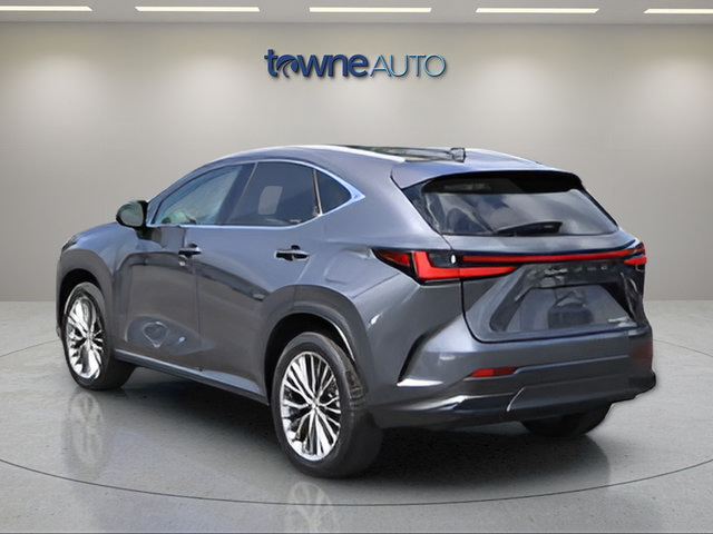 Used 2025 Lexus NX 350 AWD w/ Rear Seat Package image 5