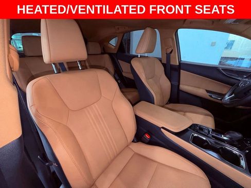 Used 2025 Lexus NX 250 FWD w/ Cold Area Package image 15