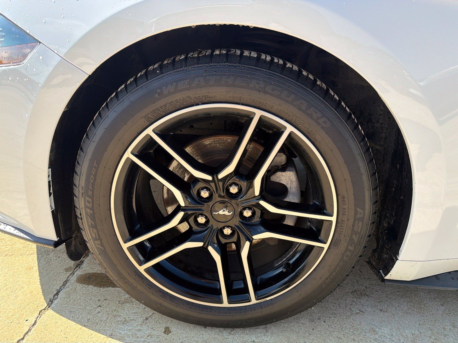 Used 2022 Ford Mustang Premium RWD image 7