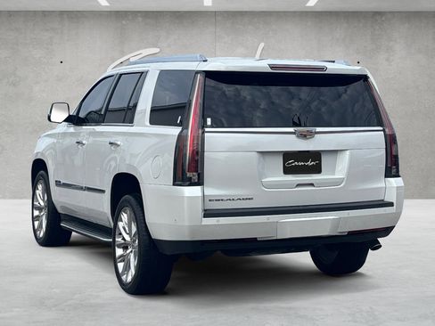 Used 2019 Cadillac Escalade Luxury image 12
