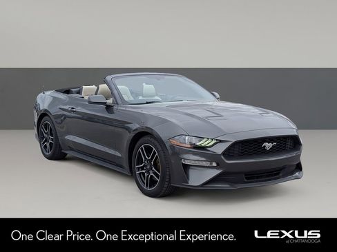 Used 2020 Ford Mustang Premium image 1