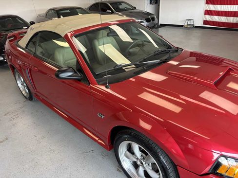 Used 2001 Ford Mustang GT RWD image 4