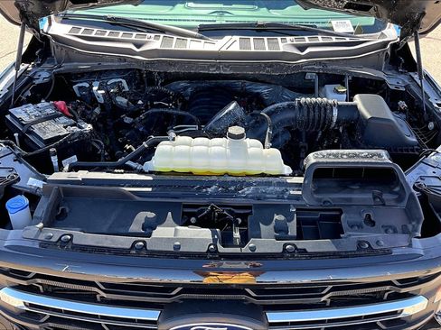 Used 2025 Ford F150 XLT w/ Equipment Group 301A Standard image 31