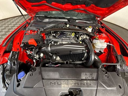 Used 2025 Ford Mustang Premium RWD image 5