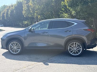 Used 2024 Lexus NX 350 AWD w/ Vision Package