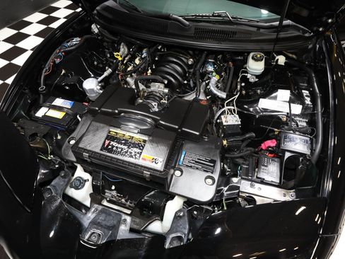 Used 1999 Pontiac Firebird Trans Am RWD image 2