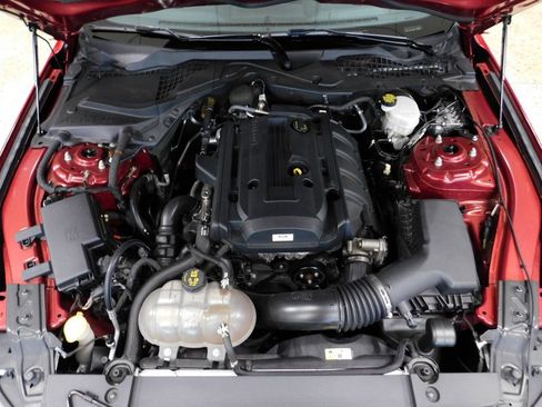 Used 2015 Ford Mustang Premium RWD image 14