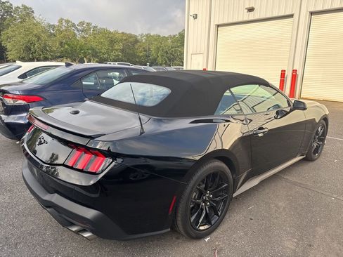 Used 2025 Ford Mustang Premium w/ Mustang Nite Pony Package RWD image 7