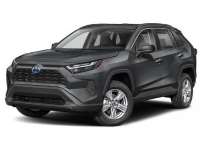 New 2025 Toyota RAV4 LE