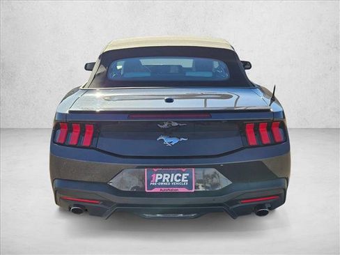 Used 2024 Ford Mustang Premium image 6