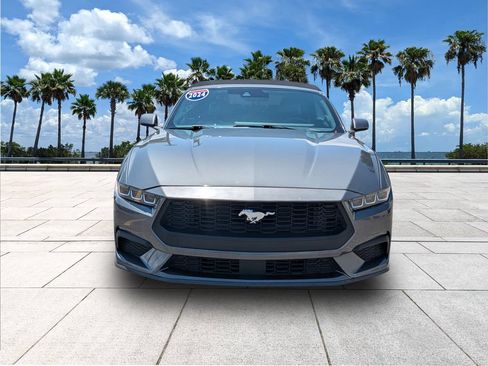 Used 2024 Ford Mustang Premium RWD image 2