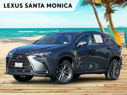 Used 2024 Lexus NX 350h AWD w/ Vision Package