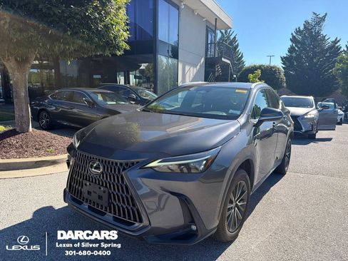 Used 2024 Lexus NX 250 FWD w/ Cold Area Package image 1