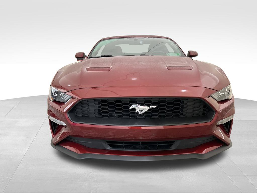 Used 2019 Ford Mustang Coupe RWD image 9