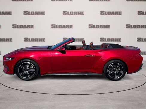 Used 2024 Ford Mustang Premium image 2