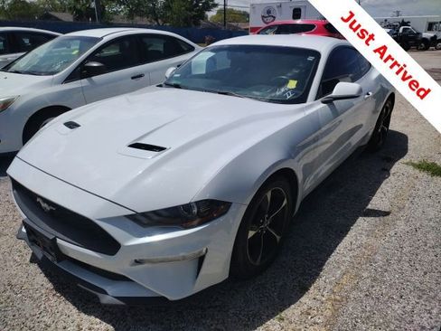 Used 2019 Ford Mustang Coupe image 1