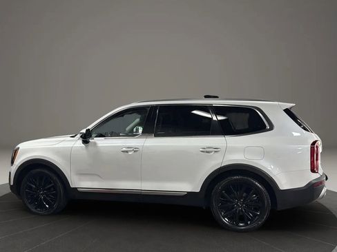 Used 2020 Kia Telluride SX w/ SX Prestige Package image 2