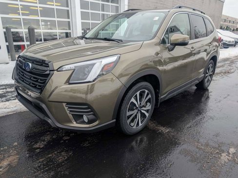Certified 2023 Subaru Forester Limited image 3