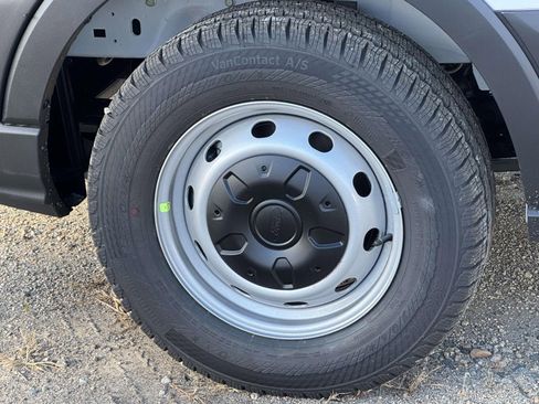 New 2026 Ford Transit 250 Low Roof w/ Load Area Protection Package RWD image 7