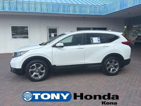 Used 2019 Honda CR-V EX-L image 1