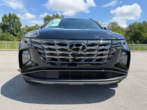 Used 2024 Hyundai Tucson Limited AWD/4WD image 6