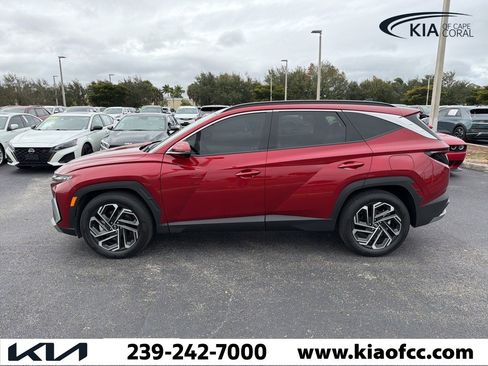 Used 2025 Hyundai Tucson Limited image 8