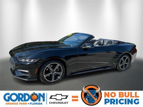 Used 2024 Ford Mustang Premium image 1