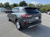Used 2020 Ford Escape SE image 3