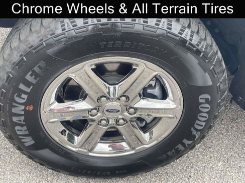 Used 2025 Ford F150 XLT w/ Equipment Group 301A Standard AWD/4WD image 9