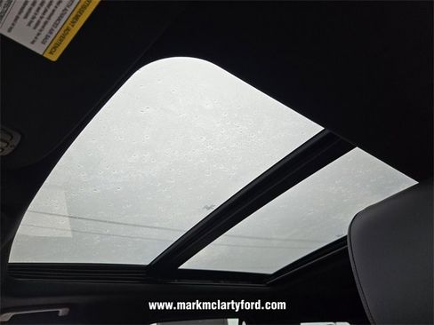 New 2026 Ford Expedition Platinum w/ Stealth Appearance Package image 6