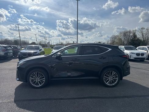 Used 2023 Lexus NX 350 AWD w/ Cold Area Package image 4